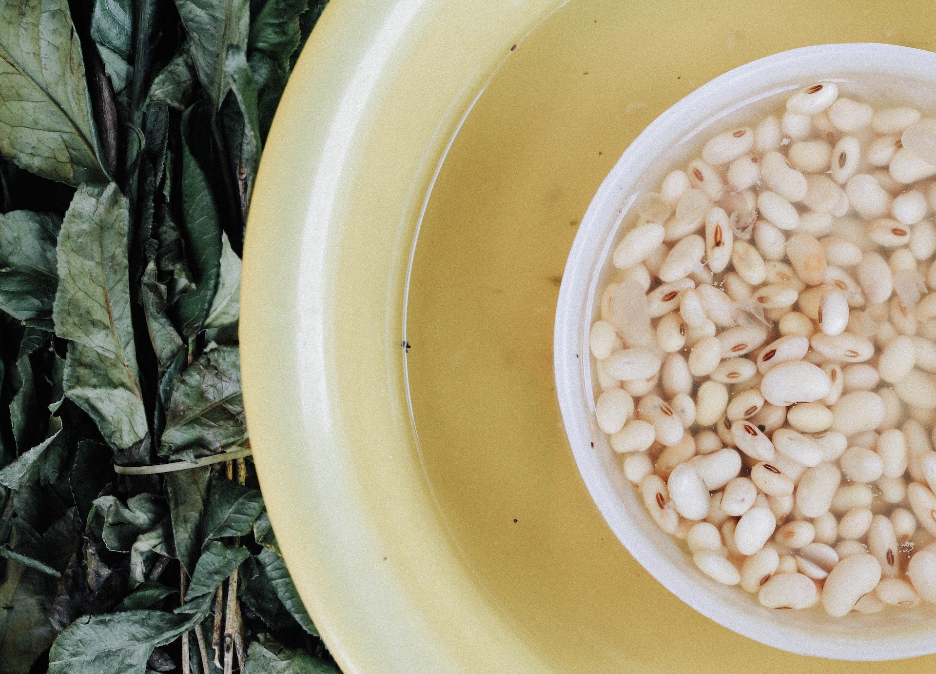 are beans keto are beans keto