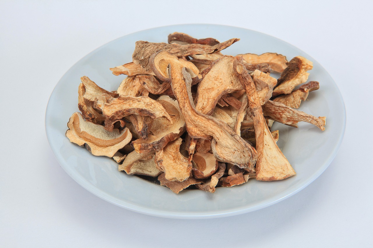 dried mushrooms