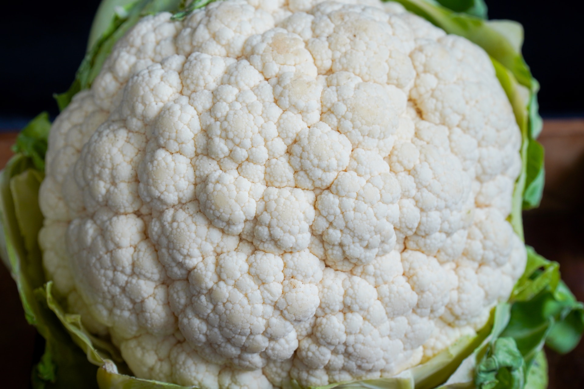 head of cauliflower