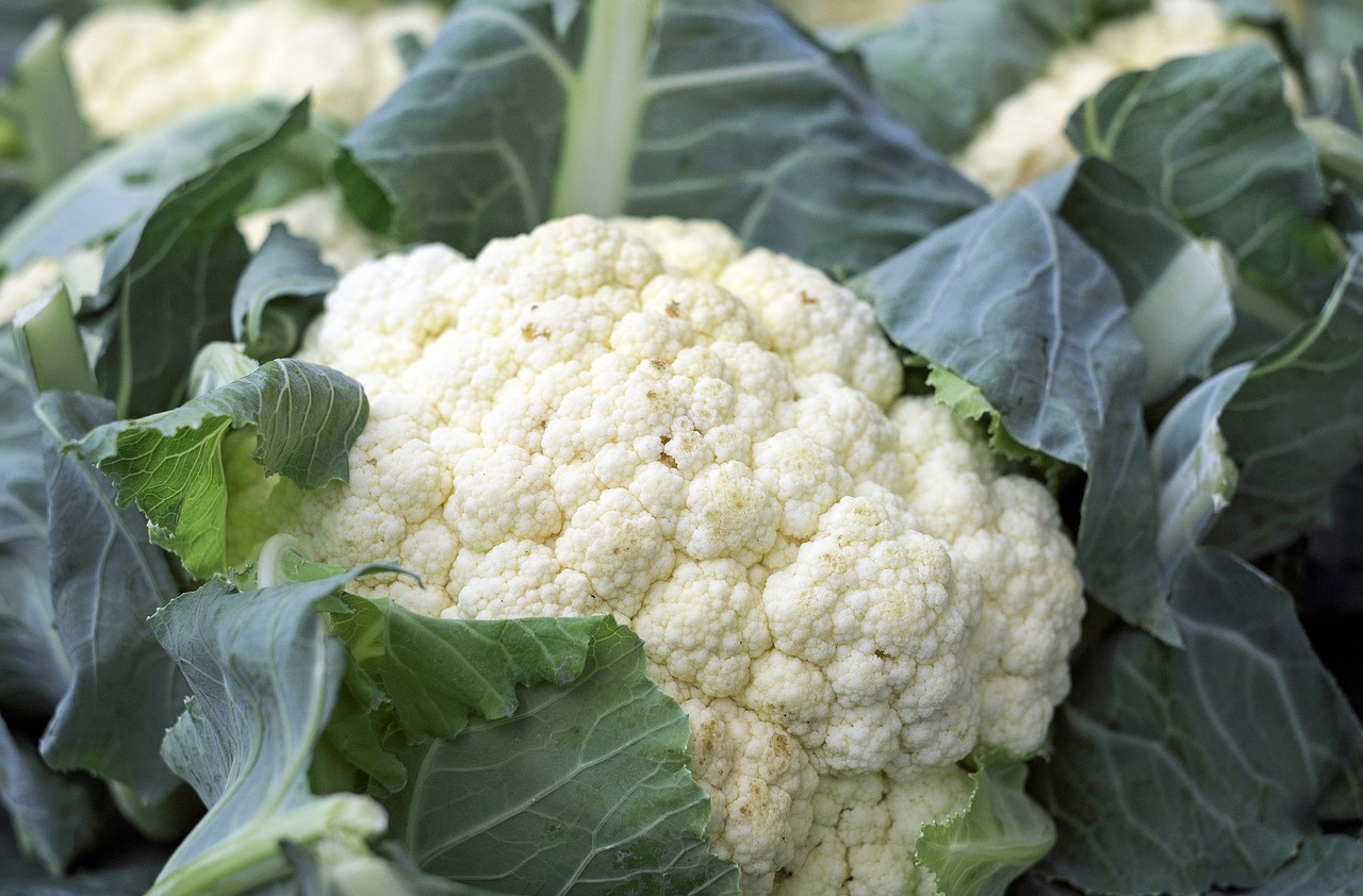 cauliflower substitute for potato