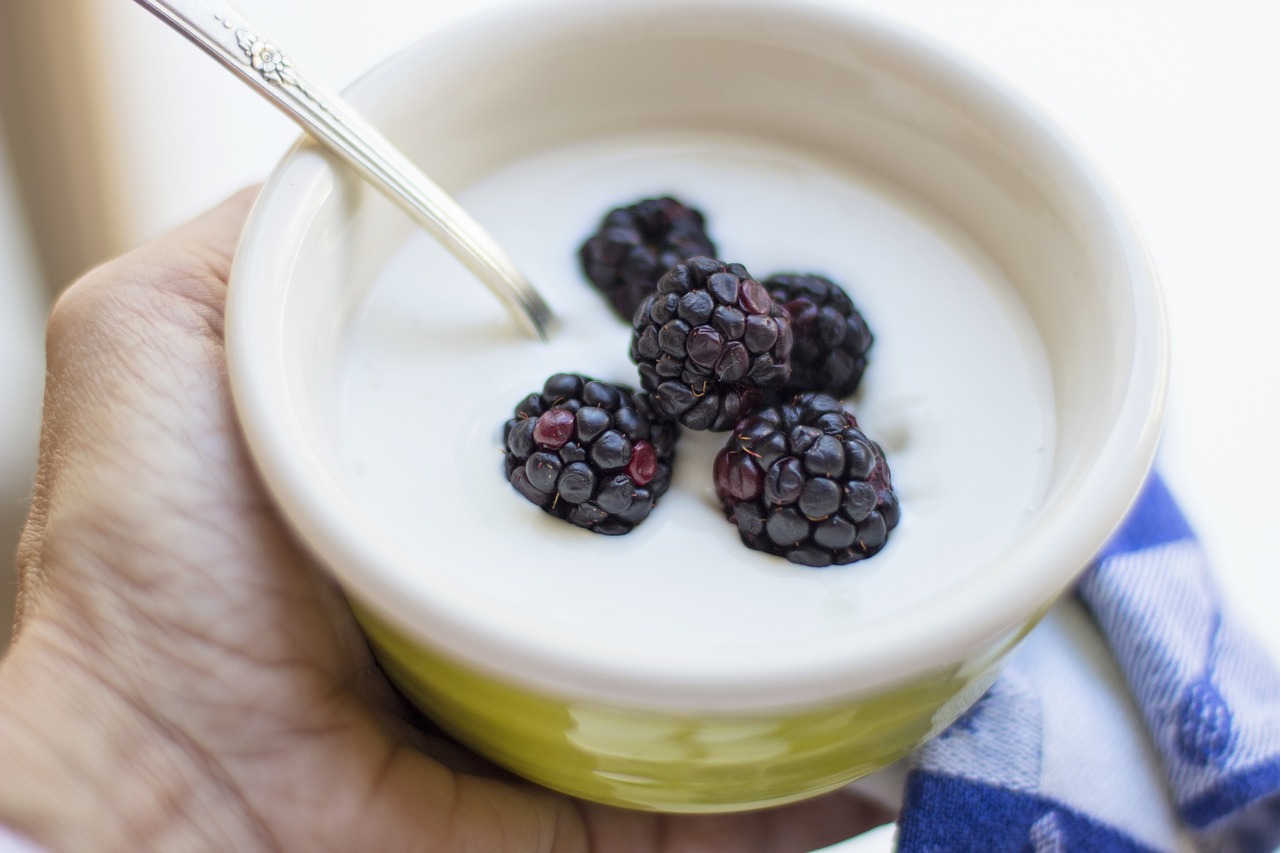 nutritional breakdown of yogurt