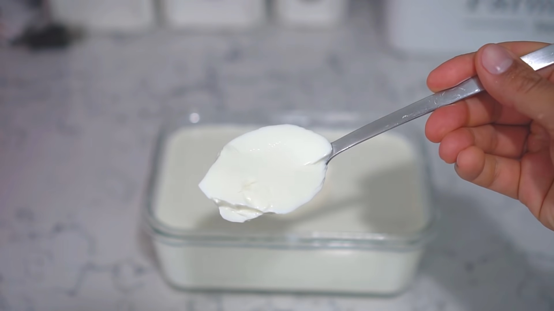 yogurt conclusion