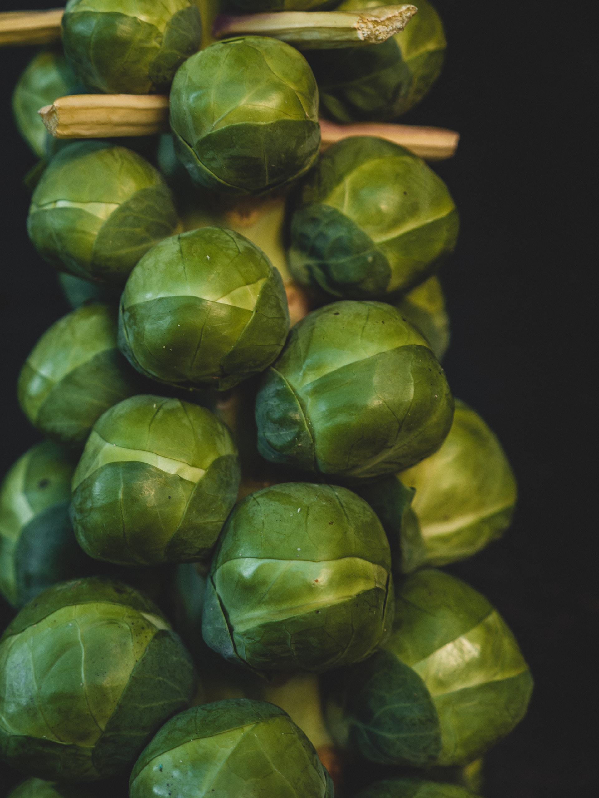 brussels sprout